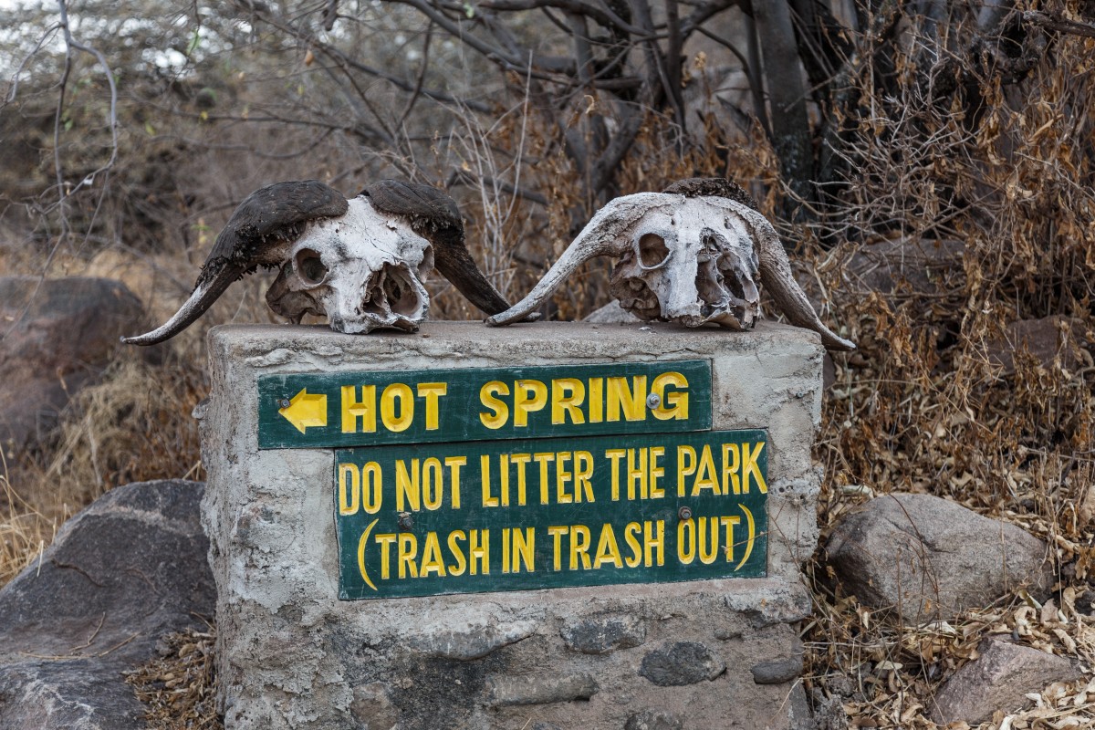 Lake Manyara National Park