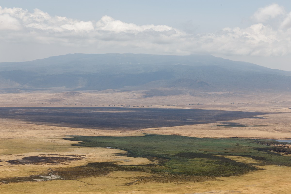 Panorama auf den Ngorongoro-Krater