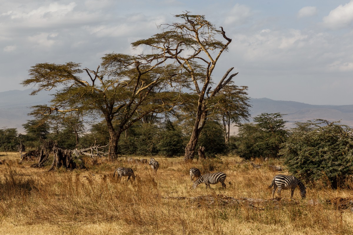 Ngorongoro-Krater