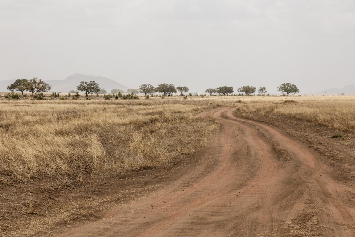 Straße im Serengeti National Park