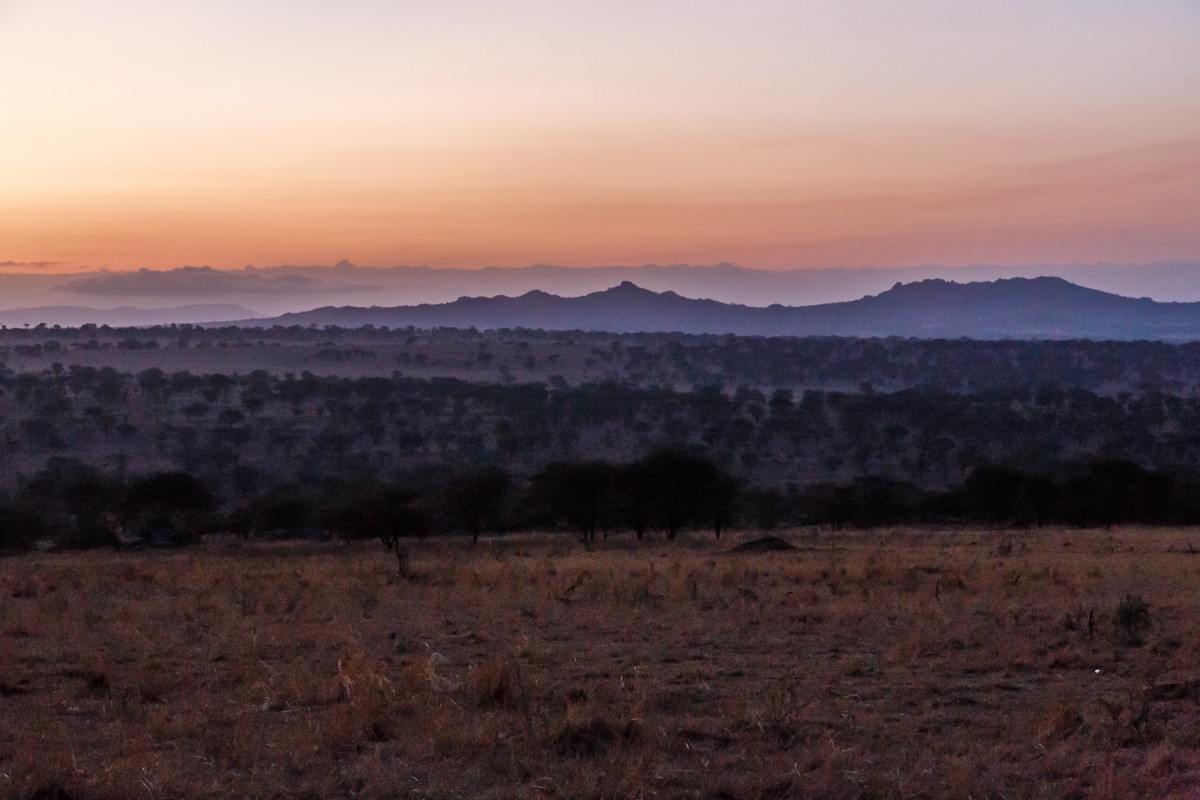 Sonnenaufgang über der Serengeti