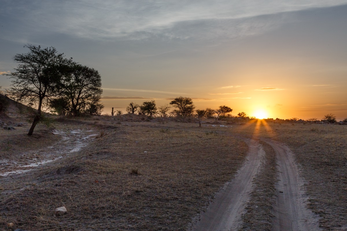 Sonnenaufgang über der Serengeti