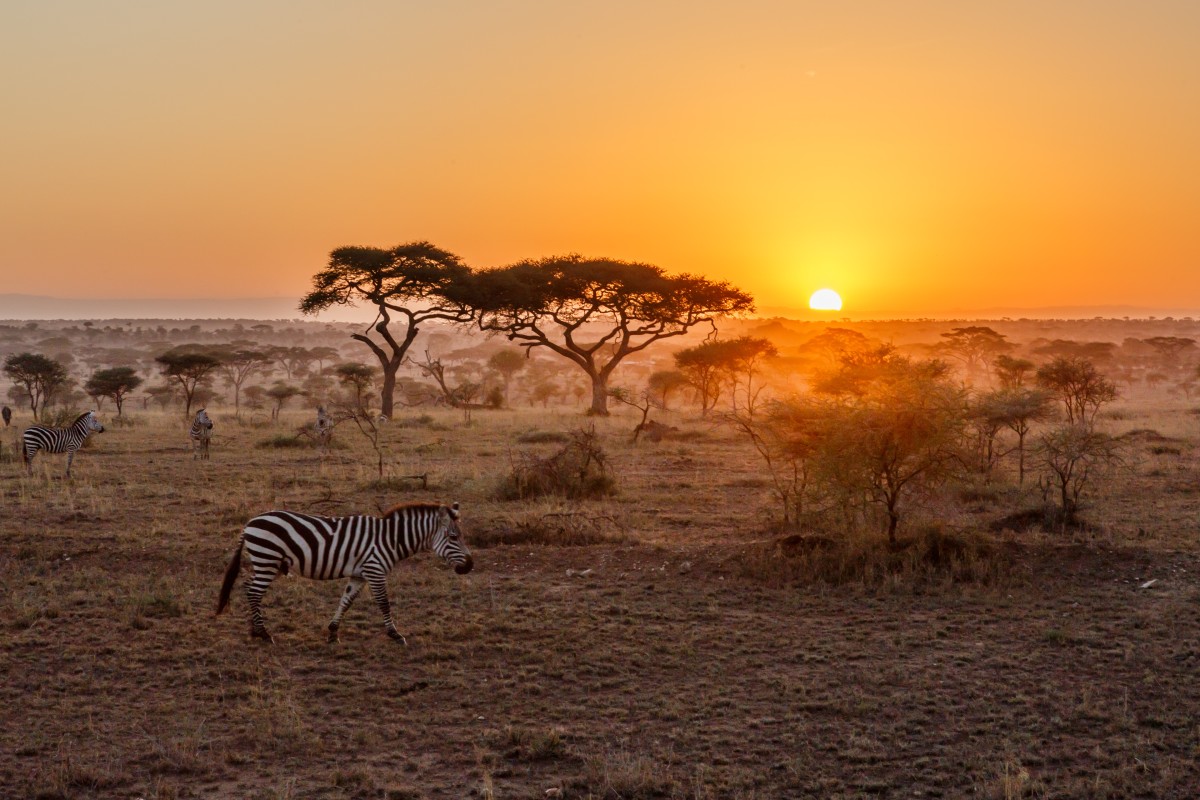 Sonnenaufgang über der Serengeti