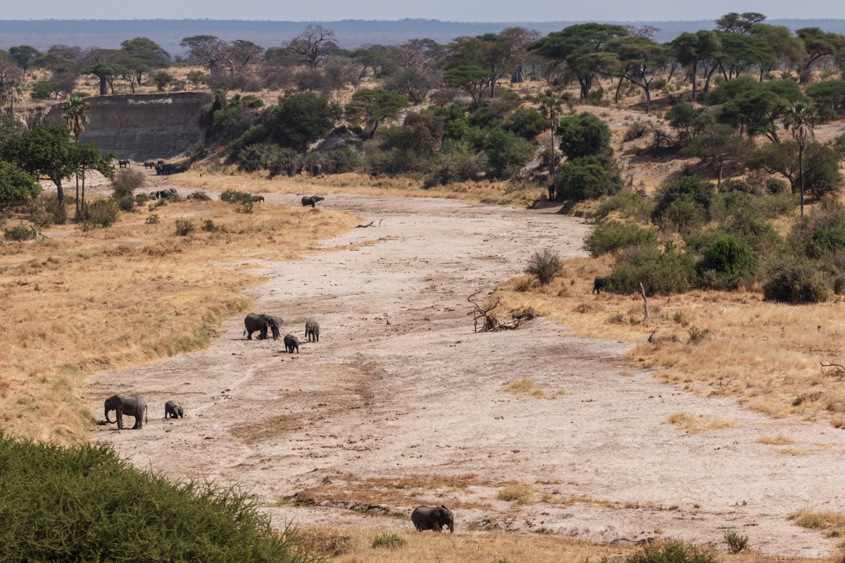 Tarangire National Park