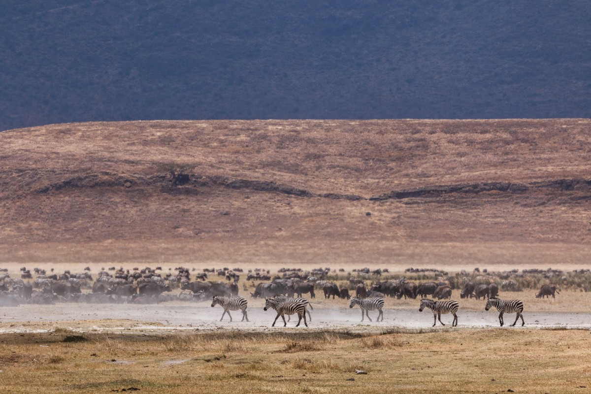 Ngorongoro-Krater