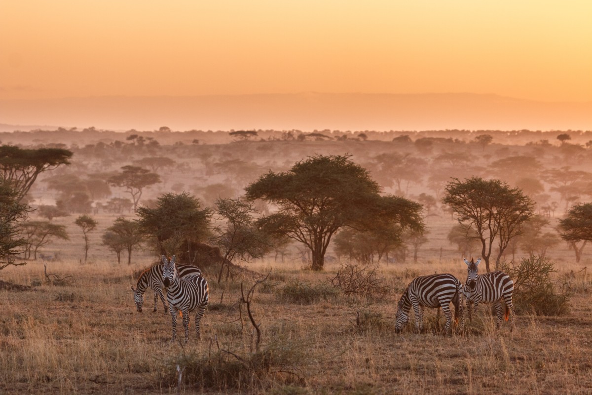 Sonnenaufgang über der Serengeti