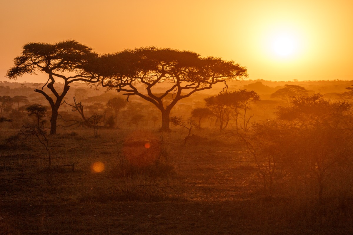 Sonnenaufgang in der Serengeti