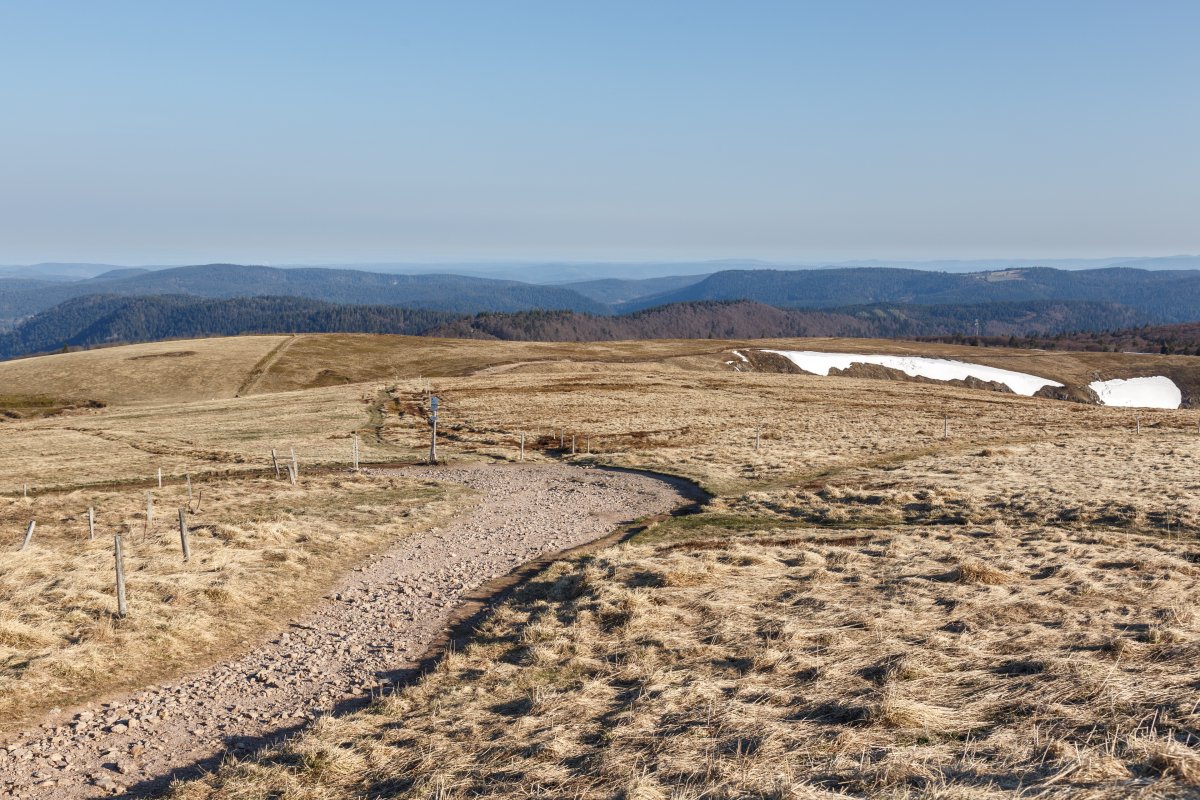 Ausblick vom Hohneck