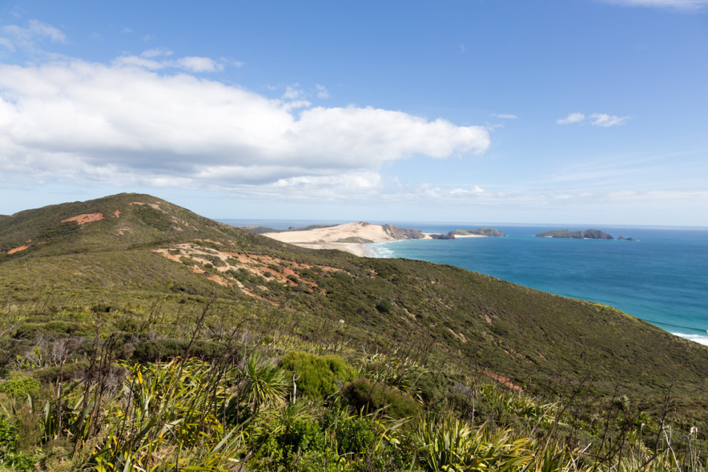 Das Cape Reinga kommt langsam in Sicht
