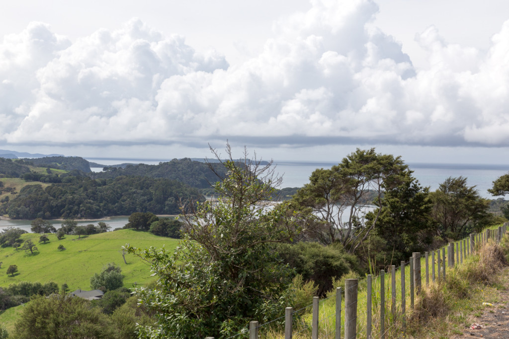Ausblick auf die Küste nördlich von Auckland