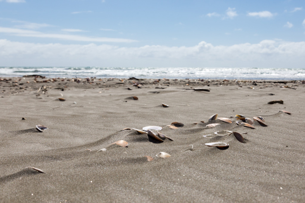 Strand in der Bay of Plenty nahe Tauranga