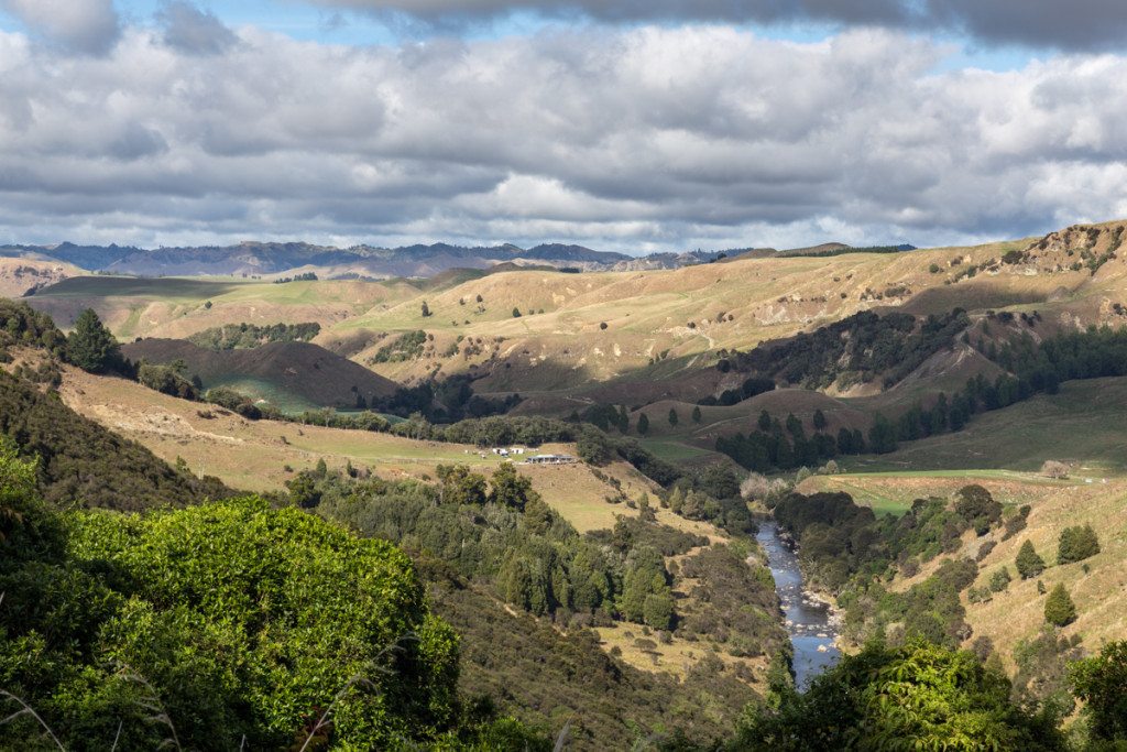 Malerische Landschaft auf dem Weg nach Whanganui