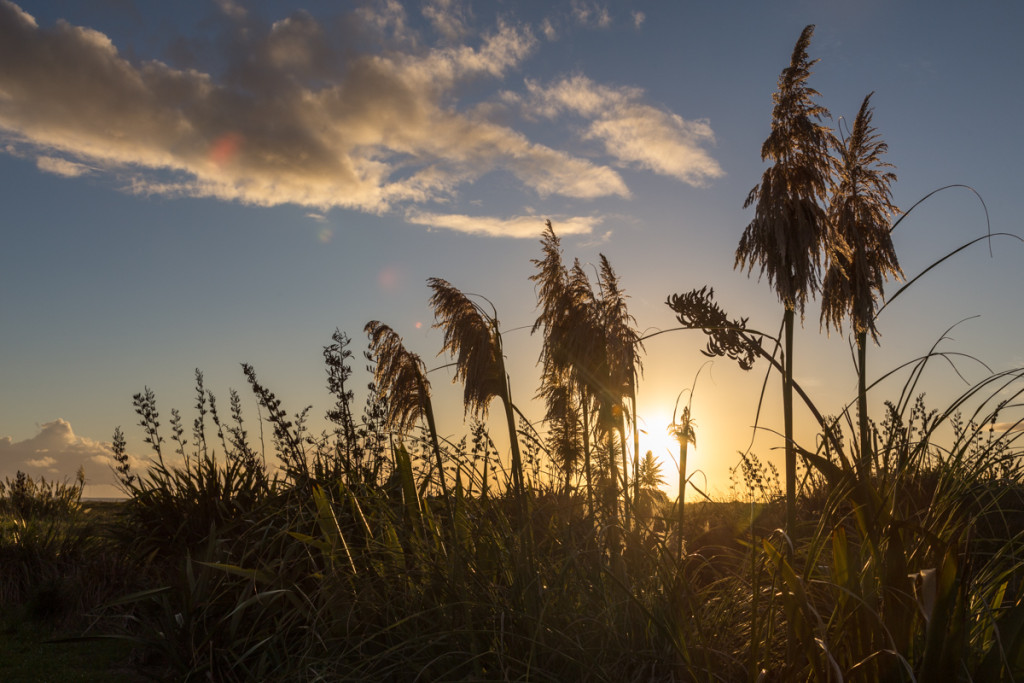Sonnenuntergang in Koitiata