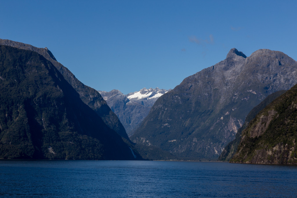 Milford Sound mit Regenwald und Gletschern