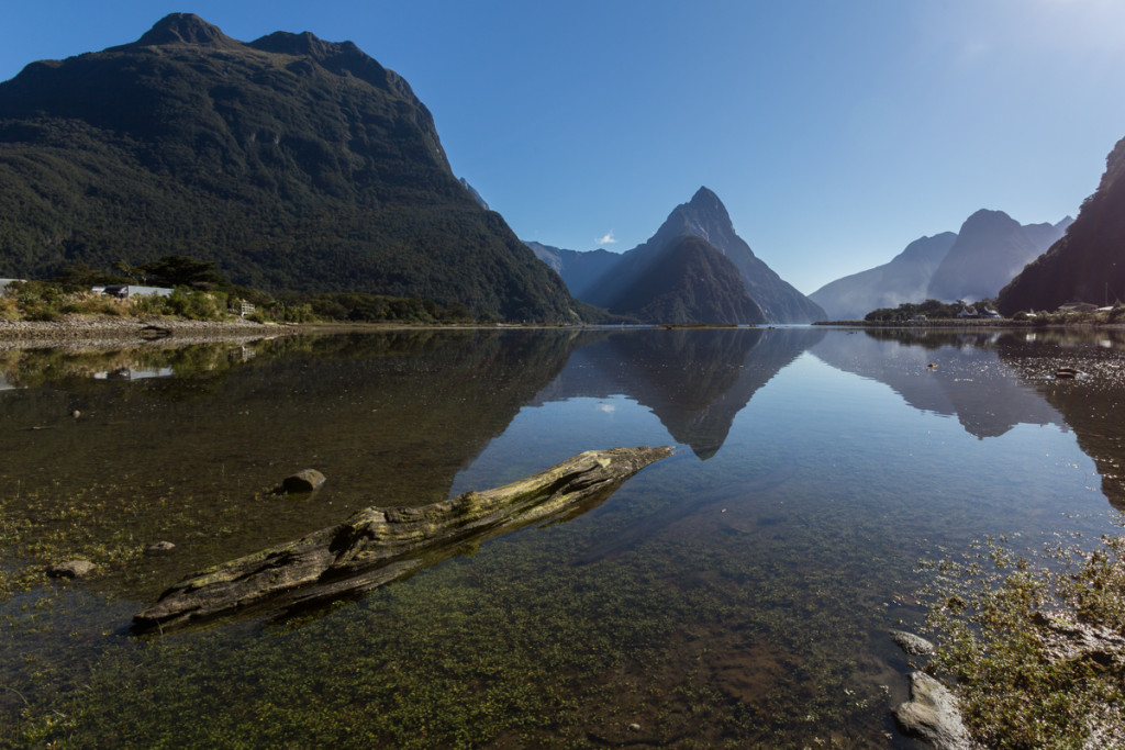 Mittagssonne am Milford Sound