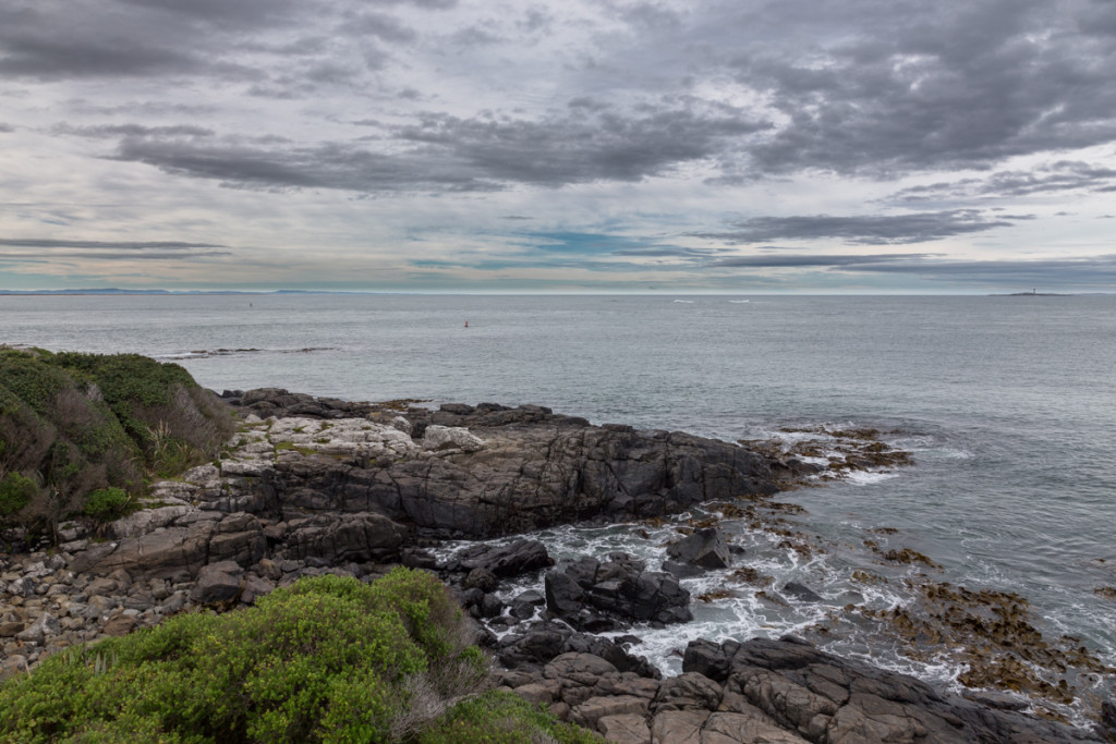 Küstenstreifen in der Curio Bay / Catlins