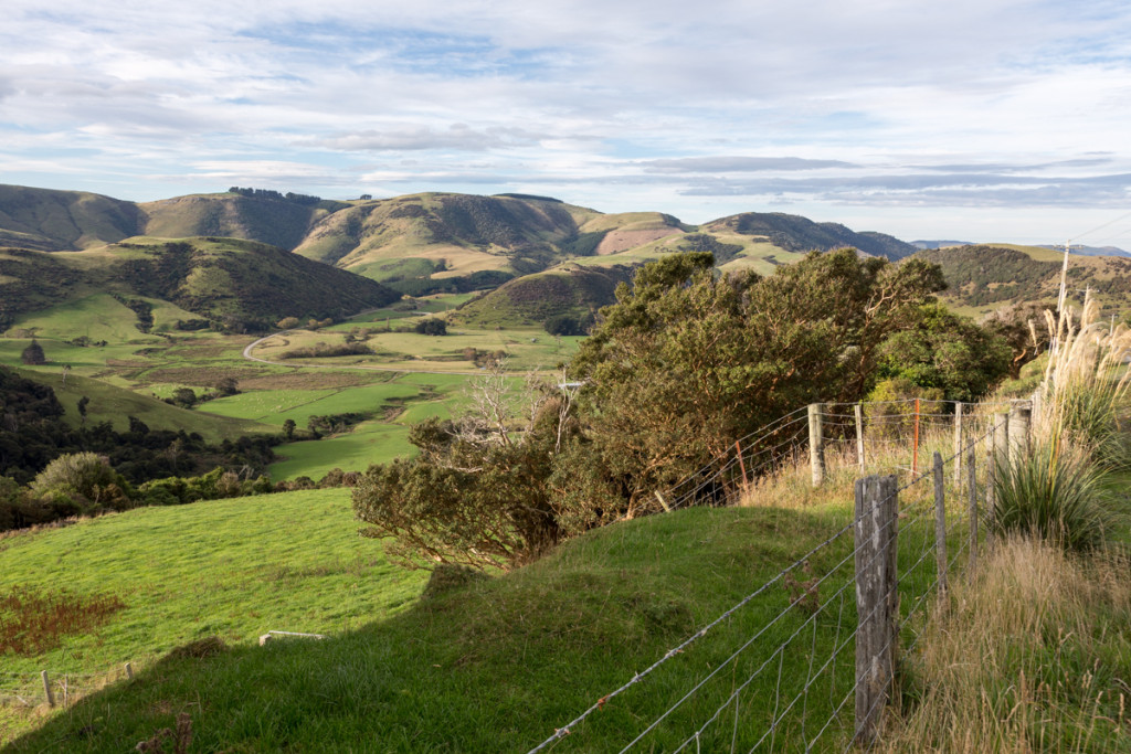 Landschaft in den neuseeländischen Catlins