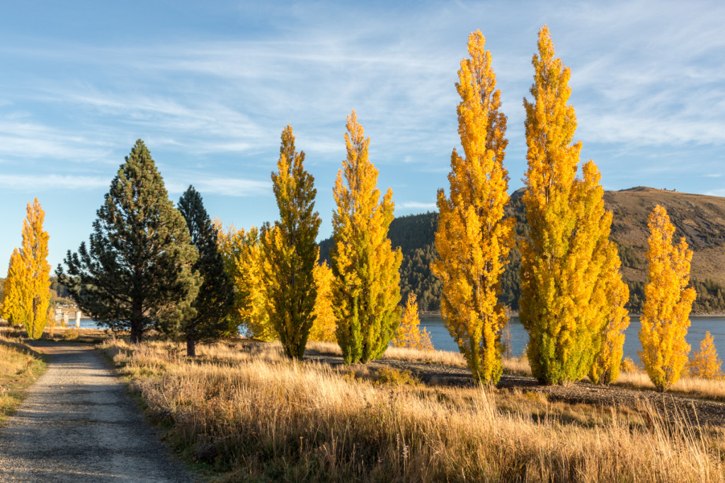 Sonnenaufgang am Lake Tekapo