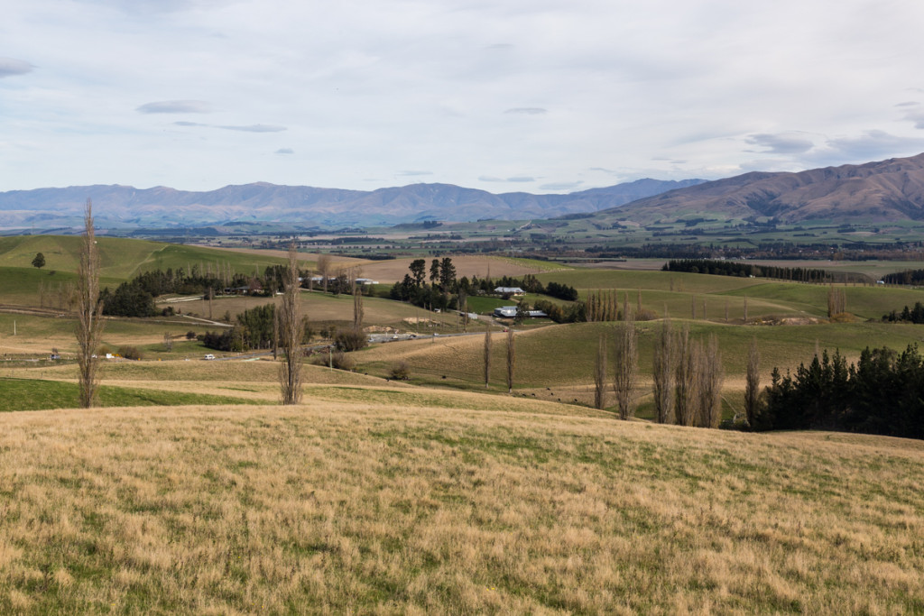 Fahrt in die Canterbury Plains nach Geraldine