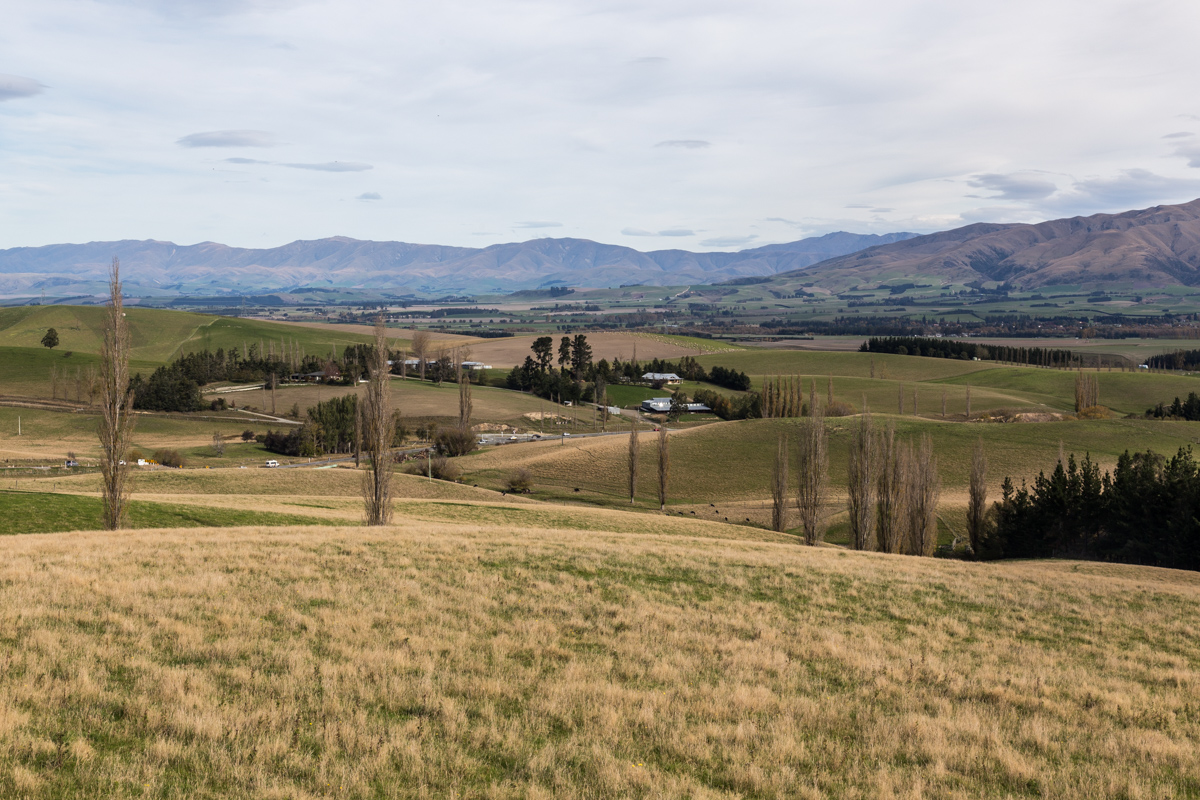 Aufbruch in die Canterbury Plains • Enviadi