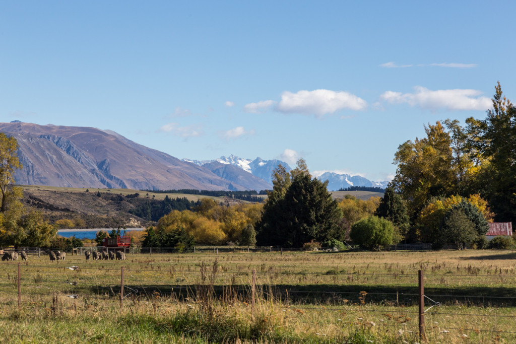 Blick auf den Lake Coleridge