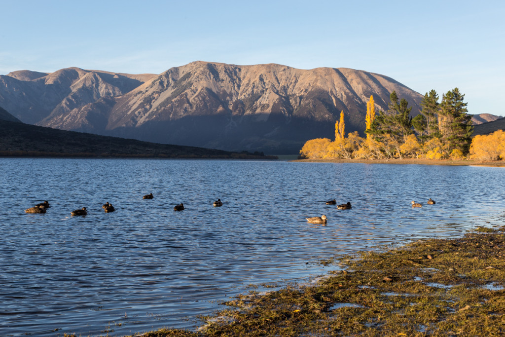 Sonnenaufgang am Lake Pearson