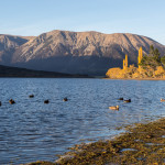 Quer durch den Arthur’s Pass National Park