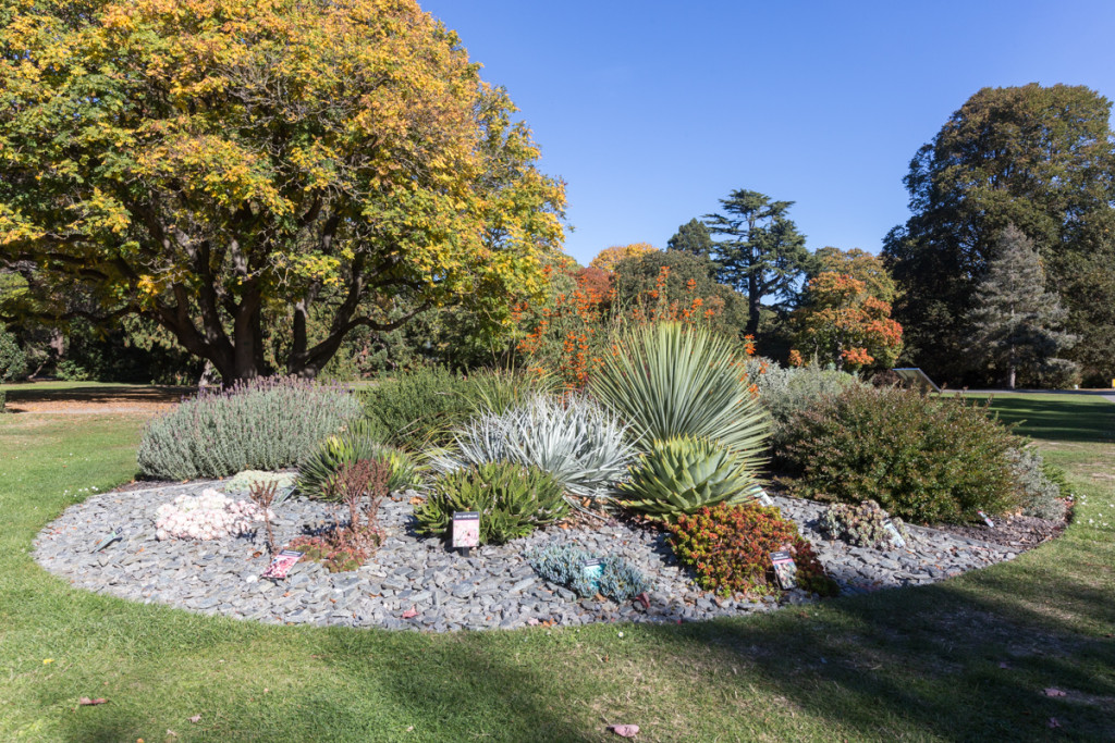 Botanischer Garten von Christchurch