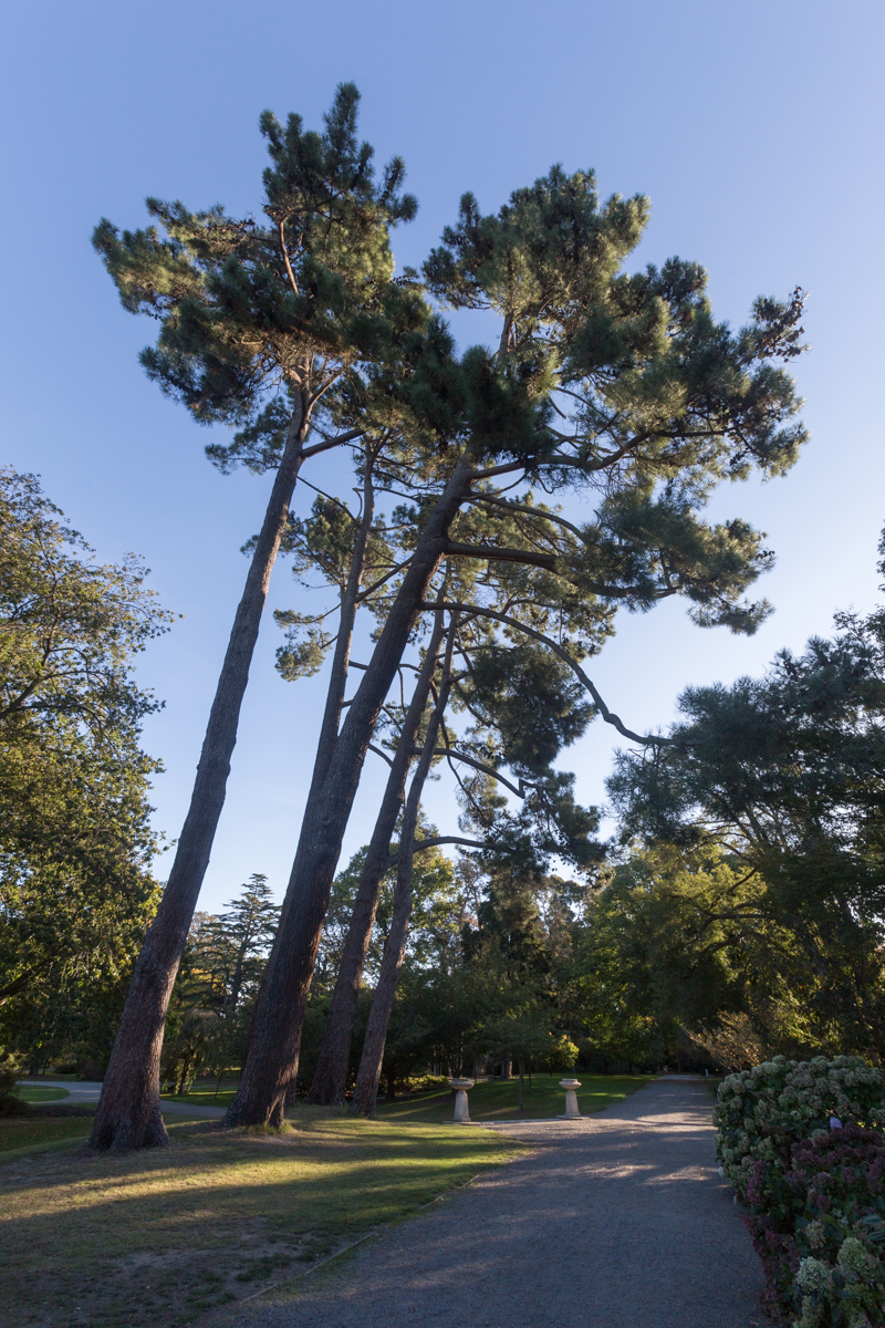 Botanischer Garten von Christchurch