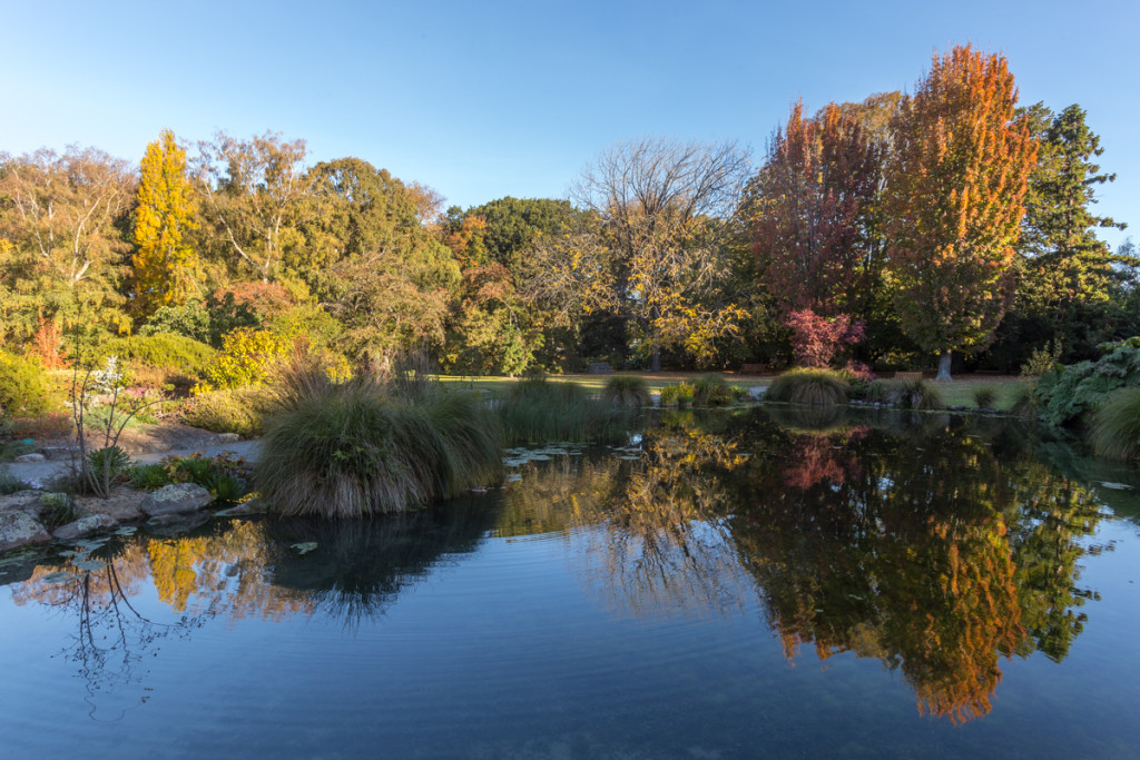 Botanischer Garten von Christchurch
