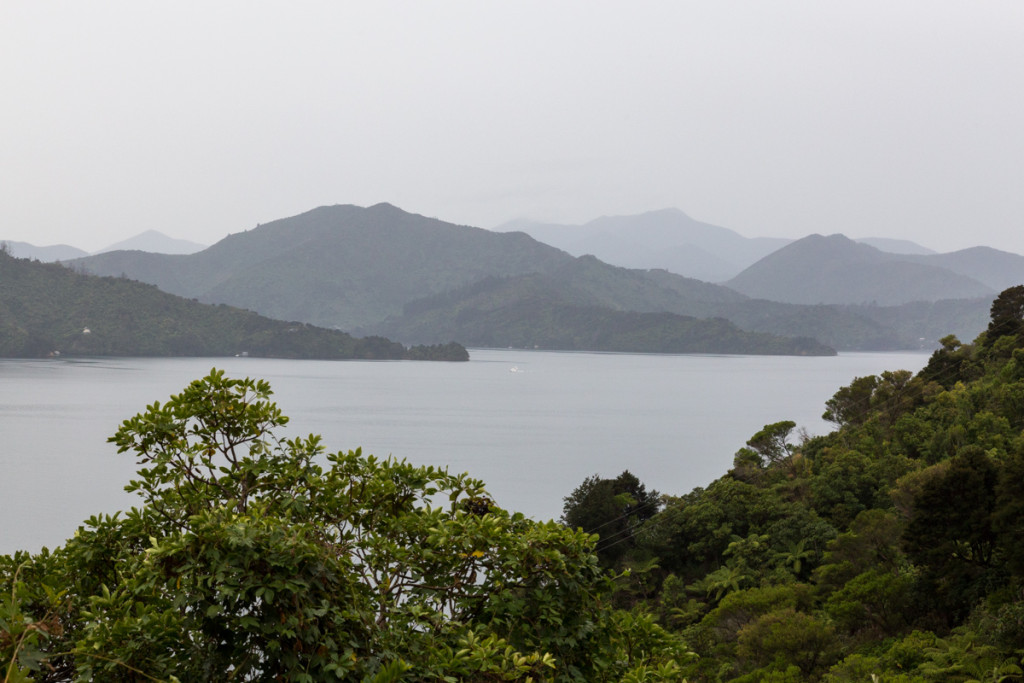 Ein Fjord der Marlborough Sounds