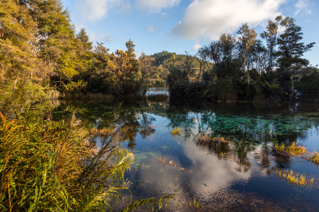 Die Sonne taucht Pupu Springs in ein malerisches Licht