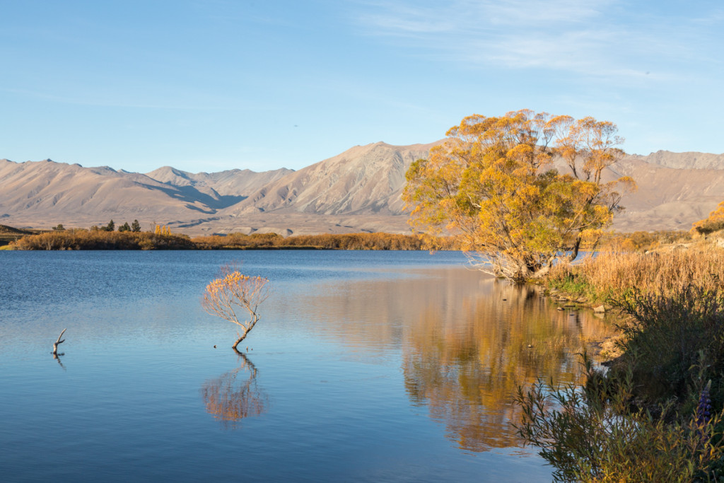 Abenstimmung am Lake McGregor
