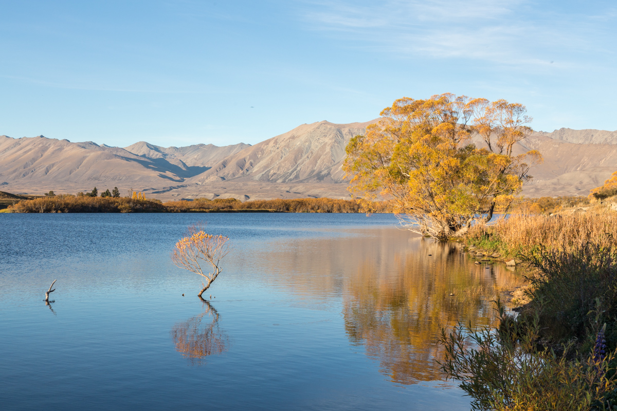 Frei wie ein Vogel über Lake Tekapo und Südalpen • Enviadi