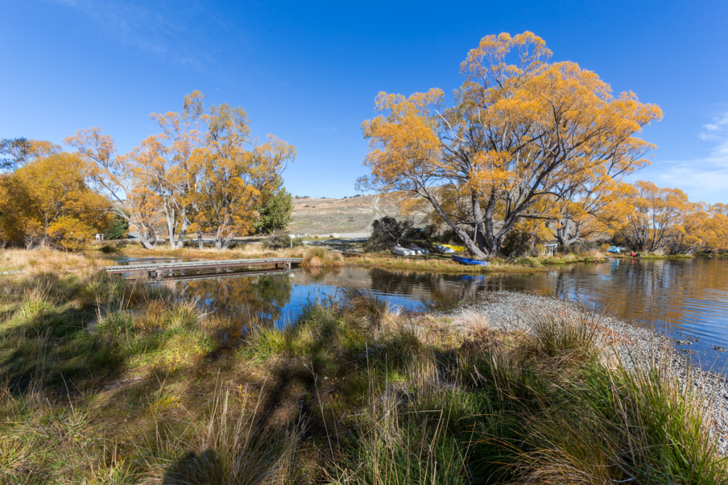 Herbstfarben am Lake Alexandrina