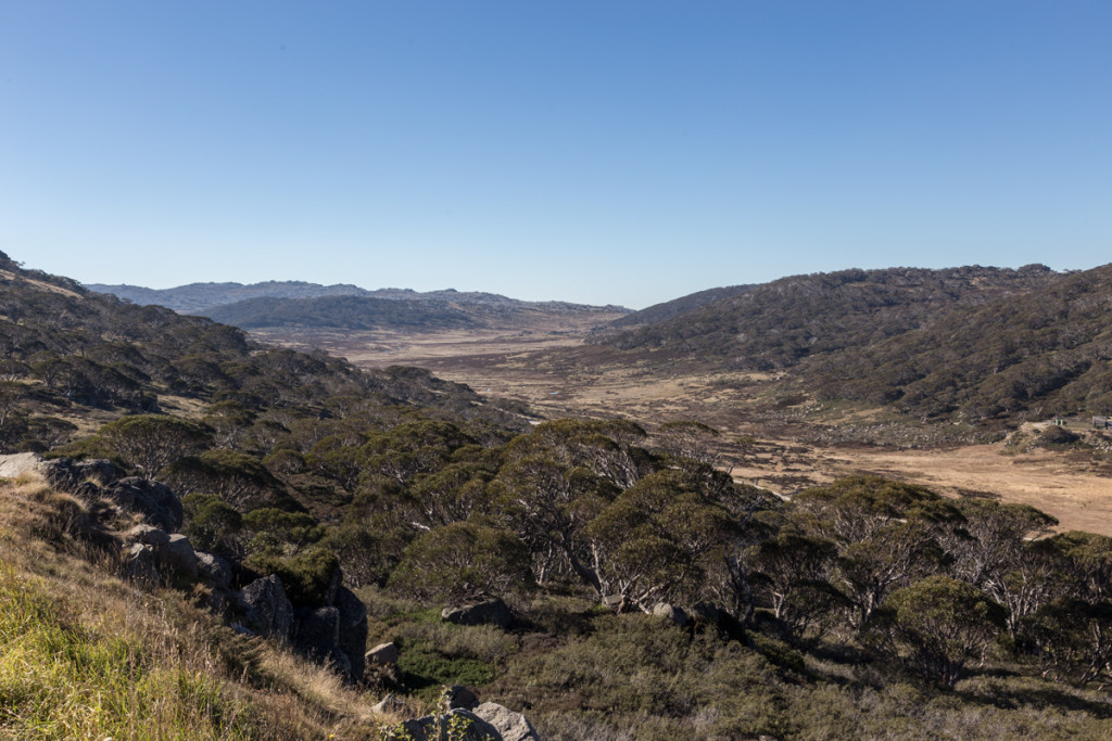 Landschaft am Charlotte Pass im Mount Kosciuszko National Park