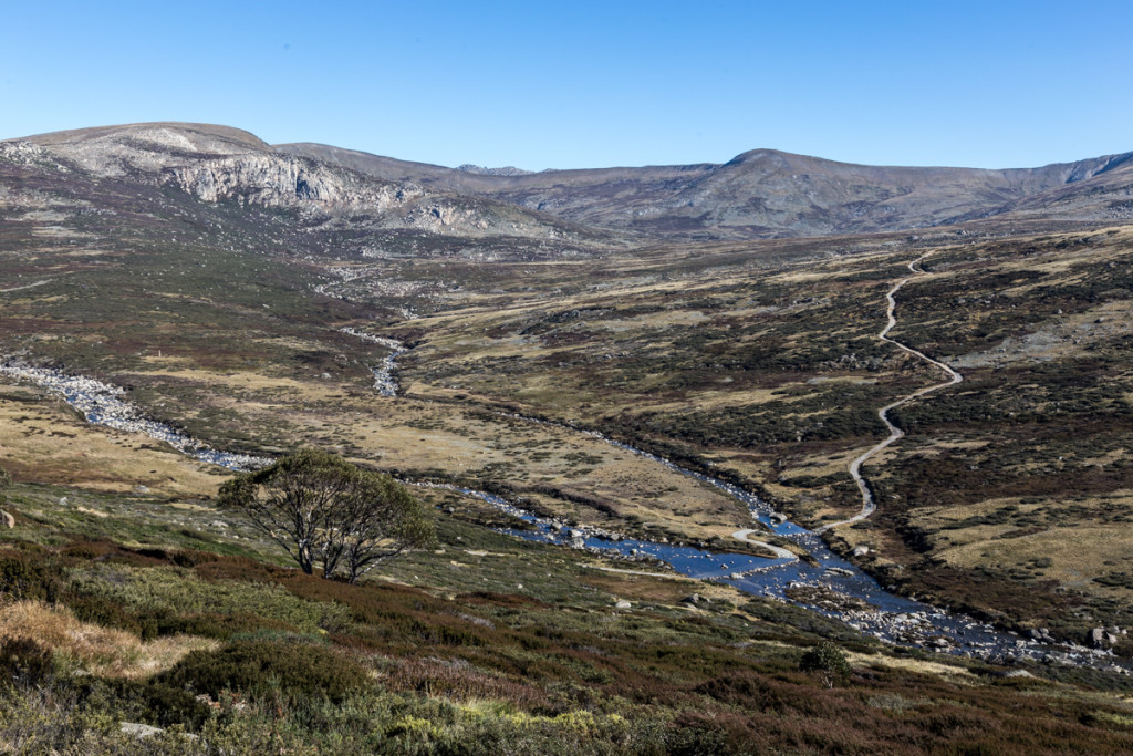 Wanderweg im Mount Kosciuszko National Park