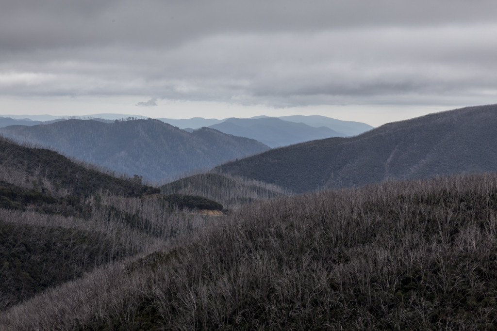 Aussicht von Falls Creek auf die Snowy Mountains