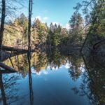 Wandern im Nationalpark Hunsrück-Hochwald